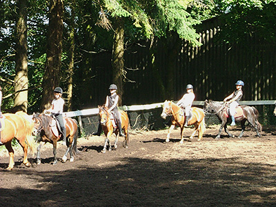 Centre Equestre Poney-Club de Prunevaux 58 Nievre Bourgogne