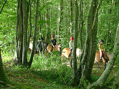 Centre Equestre Poney-Club de Prunevaux 58 Nievre Bourgogne