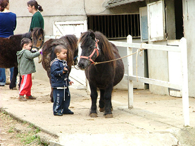 Centre Equestre Poney-Club de Prunevaux 58 Nievre Bourgogne