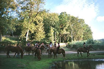 Centre Equestre Poney-Club de Prunevaux 58 Nievre Bourgogne