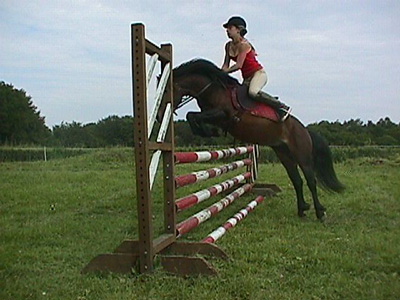 Centre Equestre Poney-Club de Prunevaux 58 Nievre Bourgogne