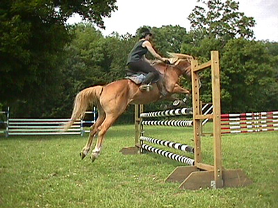 Centre Equestre Poney-Club de Prunevaux 58 Nievre Bourgogne