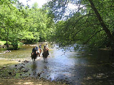 Centre Equestre Poney-Club de Prunevaux 58 Nievre Bourgogne