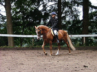 Centre Equestre Poney-Club de Prunevaux 58 Nievre Bourgogne