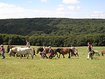 Centre Equestre Poney-Club de Prunevaux 58 Nievre Bourgogne