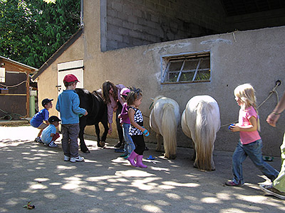 Centre Equestre Poney-Club de Prunevaux 58 Nievre Bourgogne